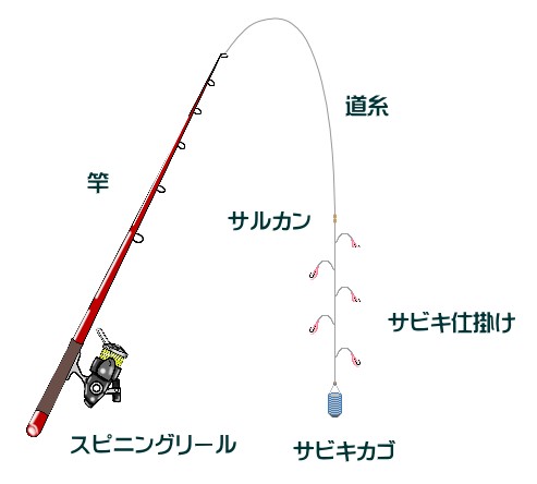 舞鶴親海公園 アジのサビキ釣り仕掛けと釣り方